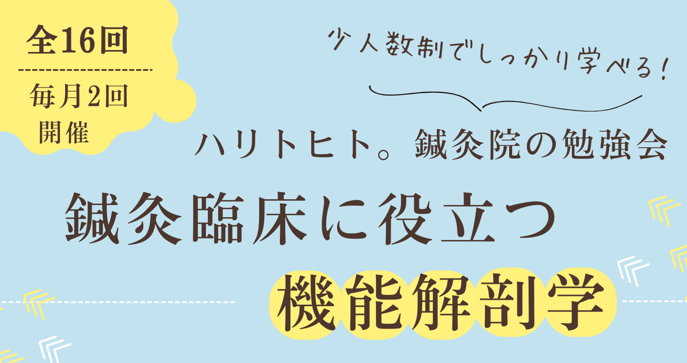 鍼灸臨床に役立つ機能解剖学」ハリトヒト。鍼灸院の勉強会を開催します | ハリトヒト。鍼灸院